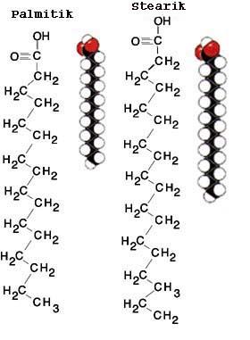 223 Doymuş yağ asitlerinin özellikleri esas itibariyle C zincirlerinin uzunluğuna bağlıdır.