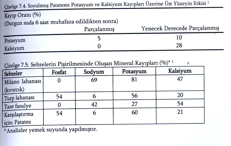 hızı Yıkama Kayıpları Sıcaklık Gıdanın üst