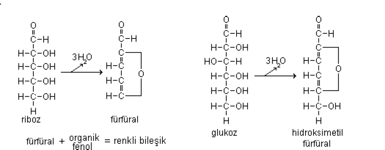 dayanıklıdırlar.