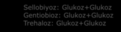 O Glikoz + Galaktoz = Laktoz (süt