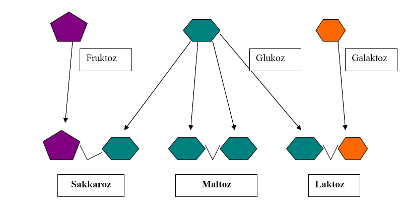 Glukoz+Glukoz Gentiobioz: