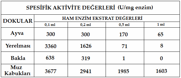 4.2. PPO Aktivitesi Yüksek Olan Doku Ekstraktlarının Protein tayinleri Spektrofotometrik analiz sonucunda PPO aktivitesi yüksek bulunan ayva, yerelması, bakla ve Anamur muzu kabuğu ekstraktları Lowry