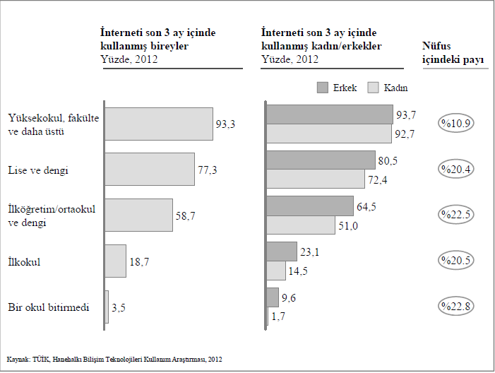 Şekil 2.6. Eğitim Düzeyi Grupları Arasında Dijital Bölünme (Kaynak: Kalkınma Bakanlığı, 2013a, s.