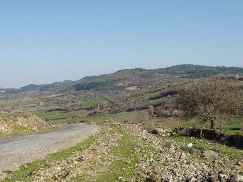 Büyüksümbüller arasında fay çok çizgisel gidişlidir (Şekil 5). Genel morfolojisi doğrultu atımlı faylara özgü topografik bir yapı sunar. Güney blok morfolojik olarak yukarıdadır.