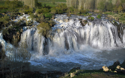 Fotoğraf: Tansu Gürpınar 3.