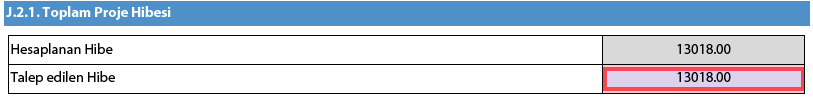 J.2. Bütçe Özeti Bu tablo, proje kapsamında yapılacak faaliyet sayısı, faaliyet türü ve talep edilen hibe miktarı konusunda özet bilgiler sunar.