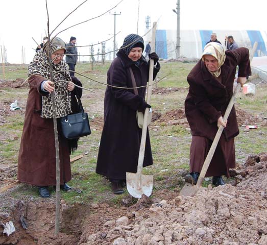 Derincemizin en büyük parkı olan