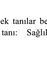 Örnek: K27 Peptik ülser, yeri tanımlanmamış [Alt bölümler için sayfa 566 ya bakınız] Başka Yerde Sınıflanmamış (BYS-NEC): Kodlayıcıya kodlanacak durumla ilgili farklı kodların sınıflandırmanın başka