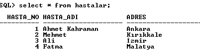 Doktorlar tablosunda, Branşı alanına gore küçükten büyüğe doğru sıralı şekilde liste alabilmek için gerekli olan SQL komutunu yazınız.