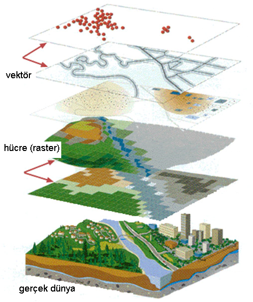 Mekansal veri ve bileşenleri MEKANSAL VERİLER: ŞEKİL ve İLİŞKİ BİLGİLERİ Mekansal verilerin yeryüzündeki şekilleri ve birbirleriyle ilişkileri
