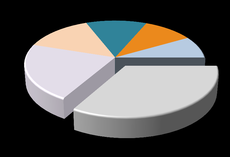 Gelir Dağılımı (2013) Gelir Dağılımı Bölgesel Gelir* Dağılımı Yolcu 87% Kargo 8%