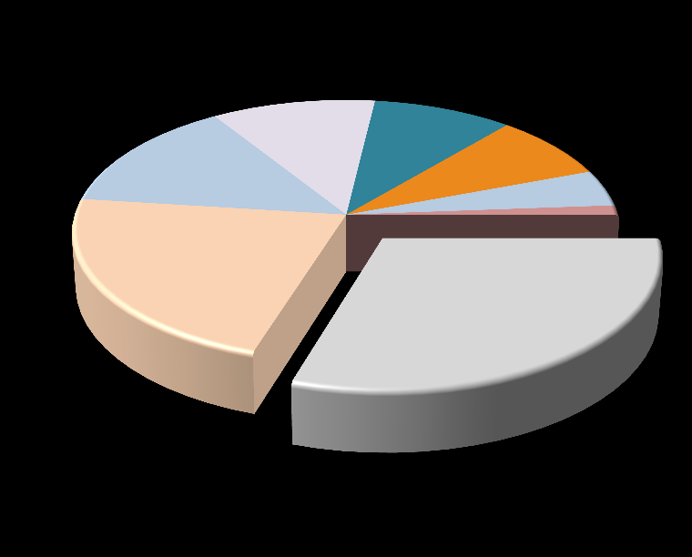 %53 Dış Hat: %47 Internet / Çağrı Merkezi; 14% Uzak Doğu; 11% Orta Doğu; 9%