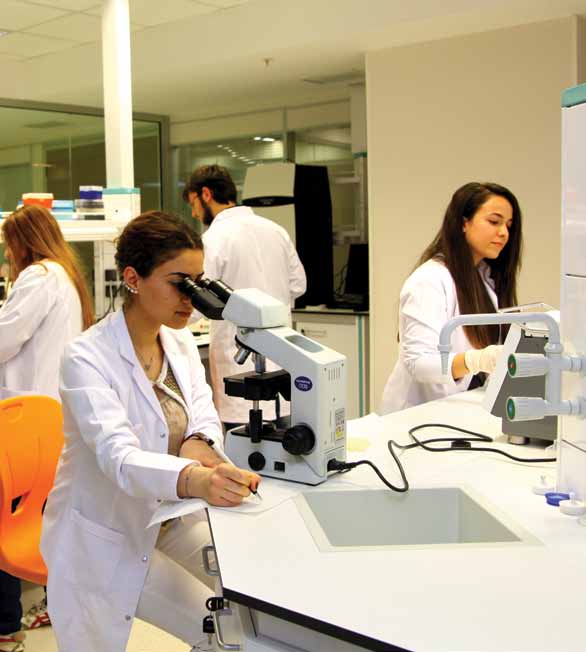 Hücre kültürü, moleküler biyolojisi ve kök hücre Laboratuvarları gerekli her türlü moleküler çalışmaların yapıldığı temel laboratuvardır.