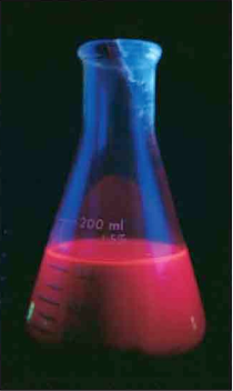 Floresans Fotosentetik pigmentler fotonları absorbladıktan sonra ısı ile birlikte ışık da yayarlar.