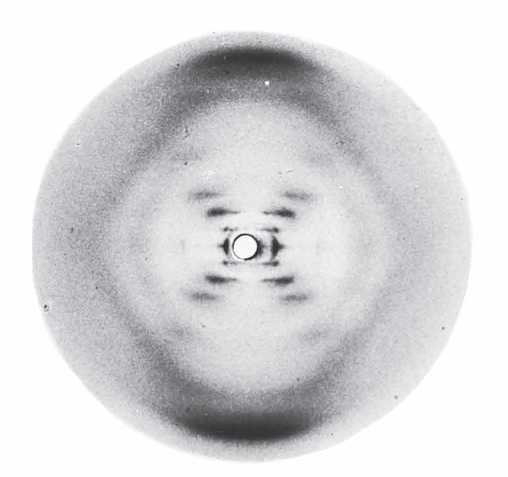 X- ışını kırınımı analizi Ø Wiliam Astbury, DNA'da 3.4 angstrom (À) aralıklarla tekrarlayan düzenli bir yapı saptamıştır.