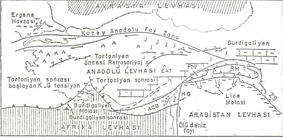 Şekil.8: Orta-Üst miyosen paleotektonik haritası.(mc.kenzie,1979,şengör,1979, Kidd,1979) 2.9. Pliyosen Güncel Bu zaman diliminde; Doğu Anadolu da ki daralma Batı Anadolu da ki genişleme devam etmiştir (Şekil.