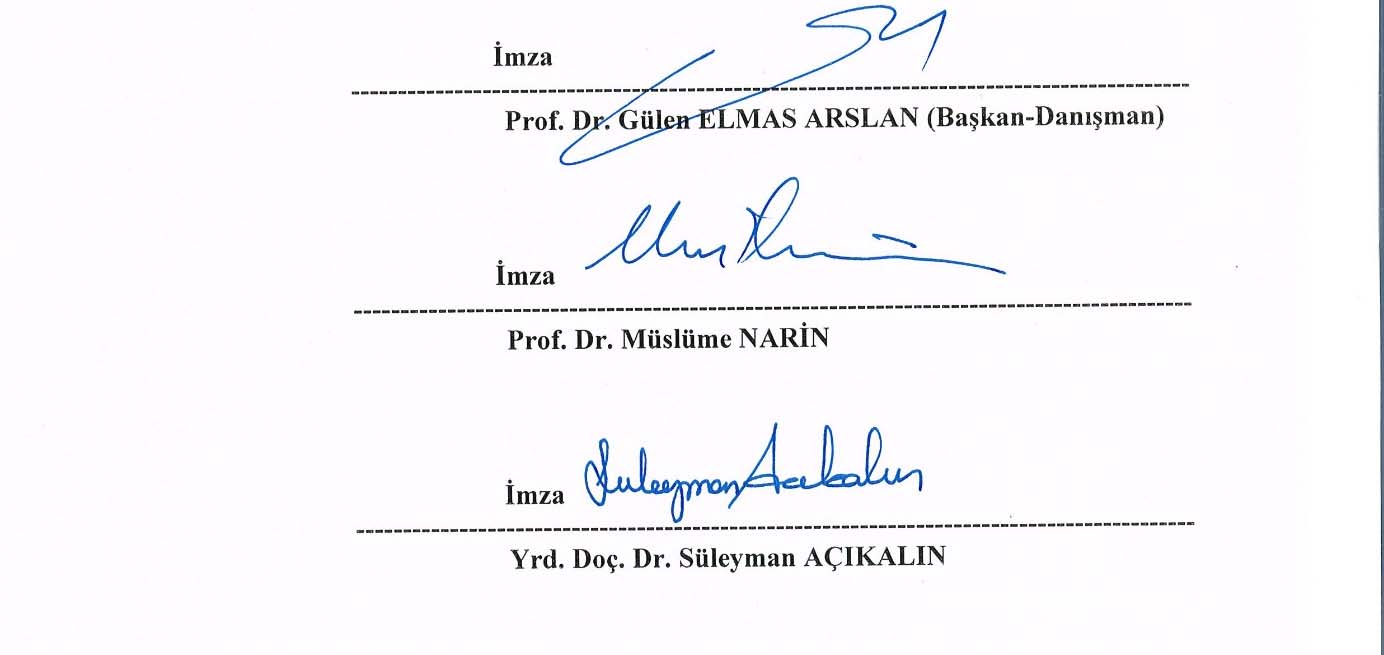 tarihinde yapılan savunma sınavı sonucunda başarılı bulunarak yüksek lisans tezi olarak kabul edilmiştir.