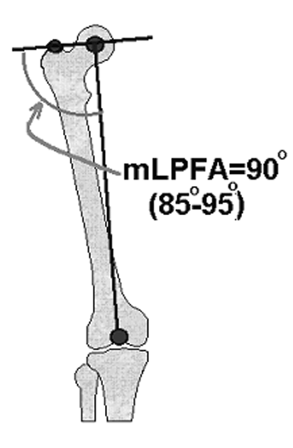 Þekil 14 a, b: Frontal planda femur proksimal eklem oryantasyon çizgileri; a: Femur baþý merkezi ile büyük trokanter tepesini birleþtiren çizgi, b: Femur baþý merkezini, femur boynunun orta noktasý