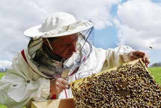 geleneksel metotlarla üretim, Arı ürünlerinin çeşitlendirilememesi (propolis, arı sütü, polen, arı zehri üretimi), Kalite yetersizliği (kalıntı sorunu ve aşırı şeker kullanımı), Bir araya gelme