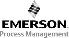 Türkçe Ağustos 2014 Güvenlik Talimatları D103022X0TR Emerson, Emerson Process Management ya da herhangi bir bağlı kurumları herhangi bir ürünün seçimi, kullanımı veya bakımı için sorumluluk kabul