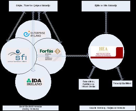 Şekil 13: İrlanda Biyoteknoloji Sektörü İnovasyon Sisteminin Oyuncuları 3.1. Enterprise Ireland Enterprise Ireland (EI), İrlanda nın endüstriyel kapasitesinin gelişimini desteklemek amacı ile kurulmuş bir kamu kuruluşudur.