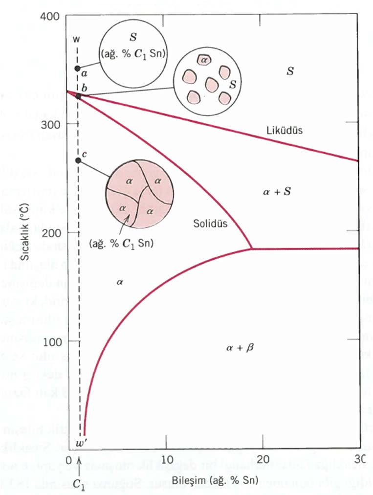 C 1 bileşimine sahip alaşım ele alındığında, yaklaşık 350 C deki sıvı fazdan oda sıcaklığına kadar gerçekleşen soğuma ww kesikli çizgisiyle ifade edilir.