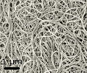 18 2.2. Karbon Nanotüpler Son zamanlarda nano boyutlu materyaller, eser elementlerin ayrılması ve zenginleştirilmesi için yeni ve seçici katı faz olarak kullanılmaya başlanmıştır.
