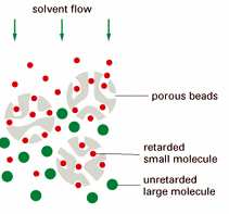 exchange yük Affinite (bağlanma) Jel Filtrasyon Kromatografi Biyomoleküllerin, molekül büyüklüğüne göre ayrılırlar Kolon, jel boncuklar