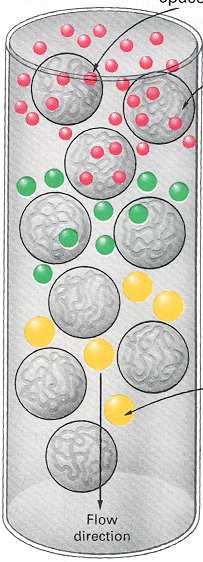 Jel Filtrasyon Kromatografi jel boncuk en büyük protein Biyomeleküllerin, matriksteki porlara takılma yüzdesi, büyüklüğü ile ters orantılıdır Porlara