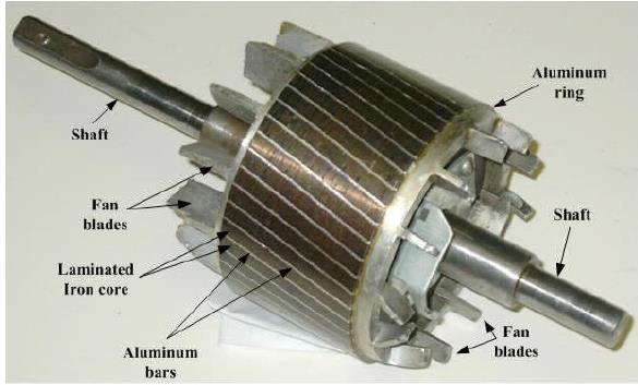 Rotor Bir fazlı asenkron makinelerin rotoru genel olarak sincap kafesi biçiminde kısa devre çubuklarından oluşur. Bu çubuklar genellikle alüminyumdan yapılmıştır. Çubuk yerine sargı da kullanılabilir.