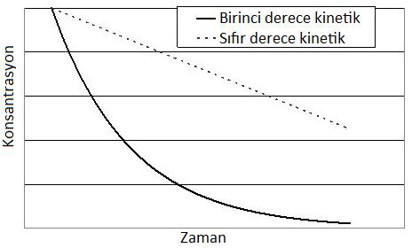 Birinci ve Sıfır Derece Kinetik Birinci derece kinetik: Maddenin konsantrasyonuna bağlı olarak eliminasyon değişir (artarsa artar). Birim zamanda elimine edilen oran sabittir (t 1/2 değişmez).