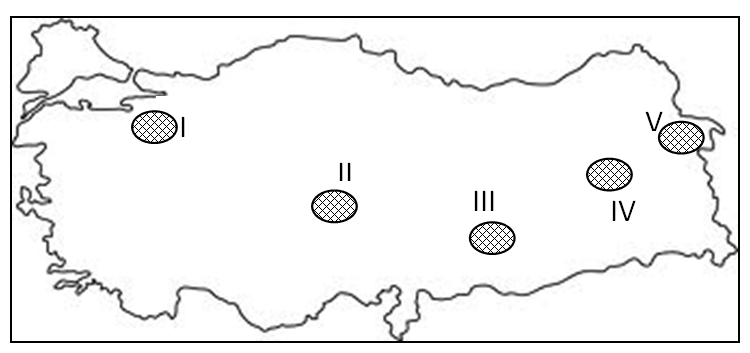 A) I- Ilgaz B) II- Erciyes C) III- Karacadağ D) IV- Nemrut E) V- Ağrı Haritada rakamla gösterilen yerlerde meydana gelen doğal afetler hangi seçenekte doğru olarak verilmiģtir?