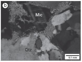 b);Serizit bağlayıcılı metakumtaşı (subarkoz) örneğinde mikroklin (Mic) ve polikristalin kuvars (Qtz) taneleri, (çn, ADG-53, Zabuk formasyonu, (Bozkaya ve diğ., 2009) 5.2.1.