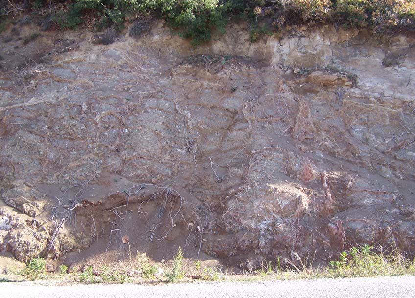 28 Kızıldağ ofiyolitinin taban ilişkisi; Plaka tektoniğine göre ofiyolitler okyanus ortası sırtlarında oluşmaktadır.