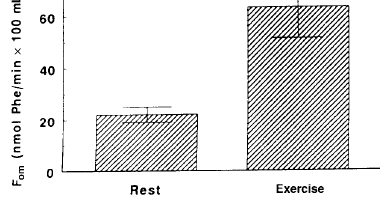Rezistan Egzersizin Kas Protein Döngüsüne Etkisi Egzersiz (resistance