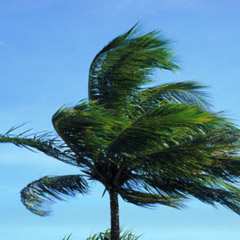 Basınç veya emme kuvveti rüzgârın hızına ve yapının geometrisine bağlıdır. Rüzgâr hızı belli bir yüksekliğe kadar artar sonra sabit kalır.