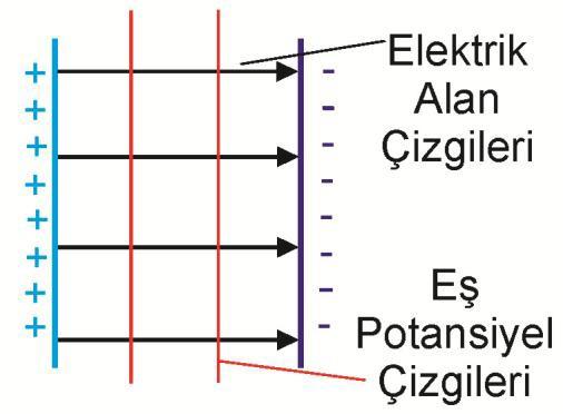 dağılımından kaynaklanan elektrik alanların şiddeti ve yönünü temsil etmek üzere elektrik alan çizgileri kullanılır.