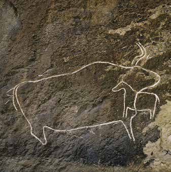 Arkeoloji Gobustan kaya resimleri ilk defa, geçen yüzyılın 40 lı yıllarında bilim dünyasına tanındı.