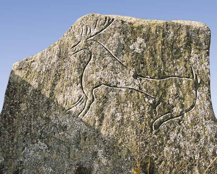 Gobustan da yeni araştırmalar sırasında, yontulmuş ve çizilmiş kaya resimlerinin yanı sıra ilk kez kaya süslemeleri boyalı tasvirler ortaya çıkarıldı.