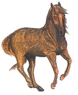 karışık Siyah Kırçıllı at: Vücudu, yelesi, kuyruğu ve ayakları al