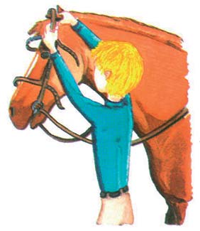 Daha sonra, başlığı atın boynunun yanına kaldırın ve baş tarafını sağ elinize aktarın.