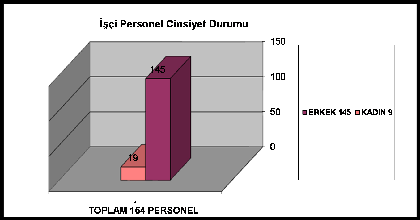 Belediyemiz web sitesinde yayınlanması ve ilçemize gelen yerli ve yabancı konuklara dağıtılmasını sağladık.