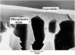 Membrane Processes boşluklar meydana getirir.