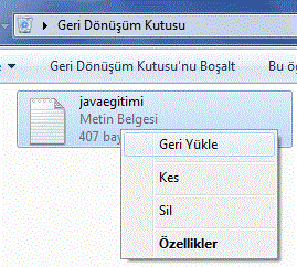 kutusunu boşalt, yanlışlıkla silinen bir öğeyi geri almak içinse aşağıda resimde gösterildiği gibi öğe üzerinde sağ tıklayarak geri al yapılması gerekmektedir. Şekil 2.