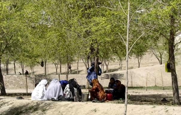 Afganistan - Kabil: Bağ-ı Babür (11 hektar)