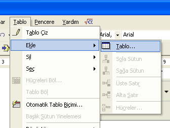 Bu çubukta tablonun çizgilerini çizebileceğiniz bir kalem, çizgileri silmek için bir silgi, çizgilerin kalınlığını ve rengini belirteceğiniz kontrol kutuları, oluşturacağınız tablonun hücrelerine