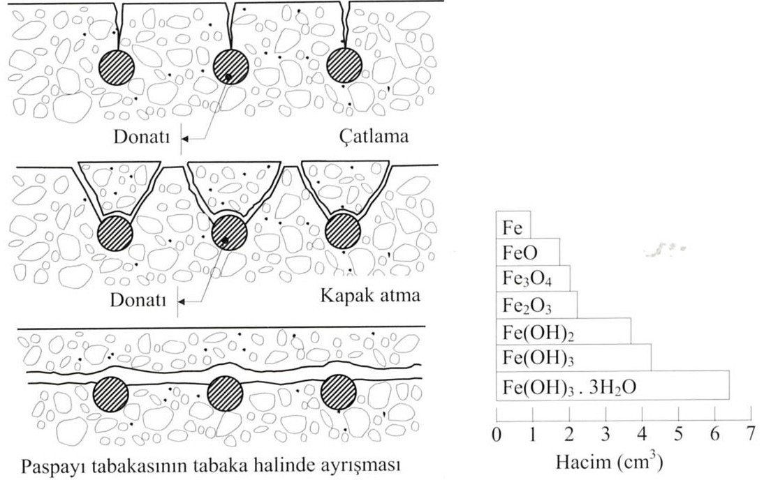 1. Çelikte enkesit kaybı 2. Çelik Beton aderansında azalma KOROZYON HASARLARI 3.