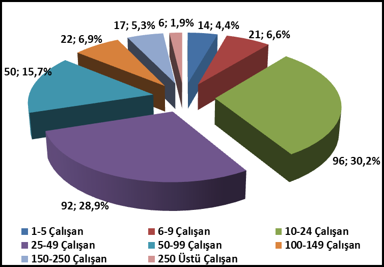 2.1.2. İşletmelerin Çalışan Sayılarına Göre Dağılımları Türkiye nin 2005 yılında 5331 sayılı Kanun ile kabul ettiği AB kriterlerine göre 1-9 işçinin istihdam ettiği işletmeler mikro işletme, 10-49