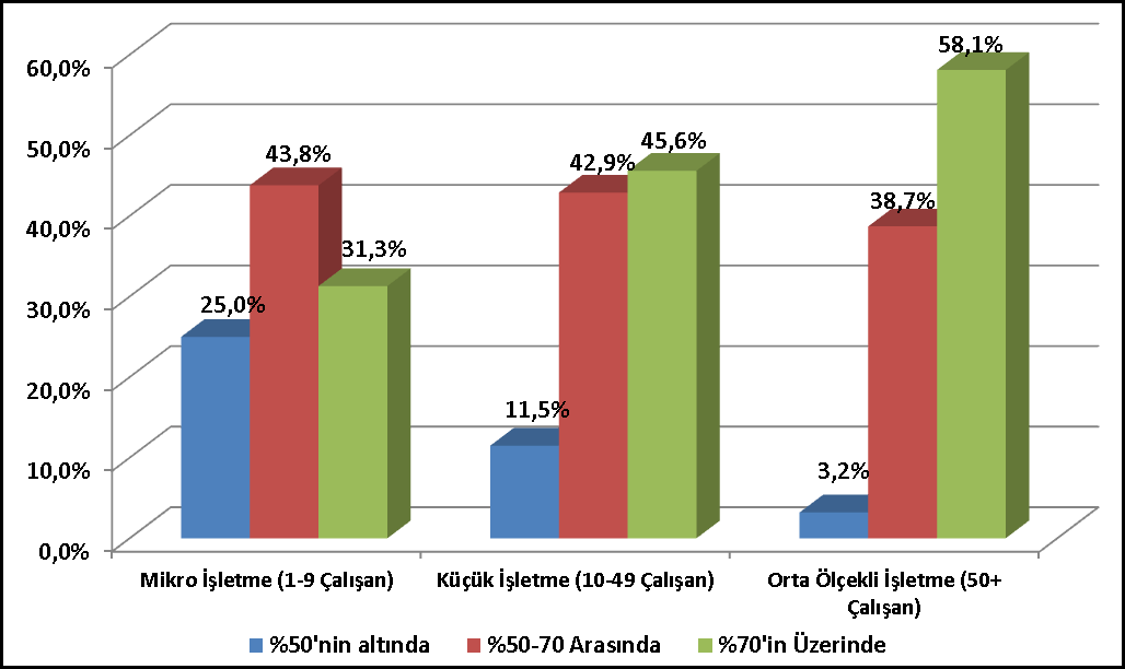 İşletmelerin Çalışan Sayılarına Göre Kapasite Kullanım Oranları Grafiği 2.