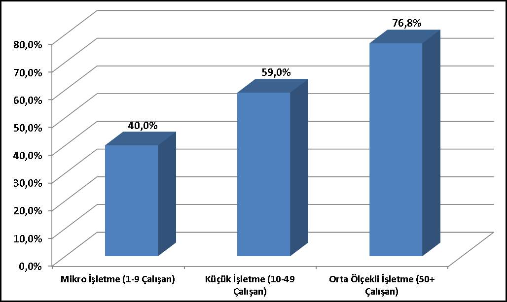 İşletmelerin Çalışan Sayılarına Göre Uluslararası Pazar Araştırması Yaptırma Mikro İşletme (1- Küçük İşletme (10- Orta Ölçekli İşletme Uluslararası Pazar 9 Çalışan) 49 Çalışan) (50+ Çalışan)